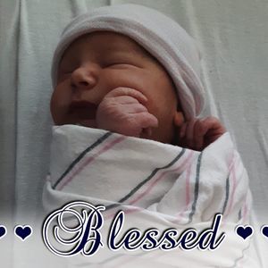 Meet your Posher, Jasmine